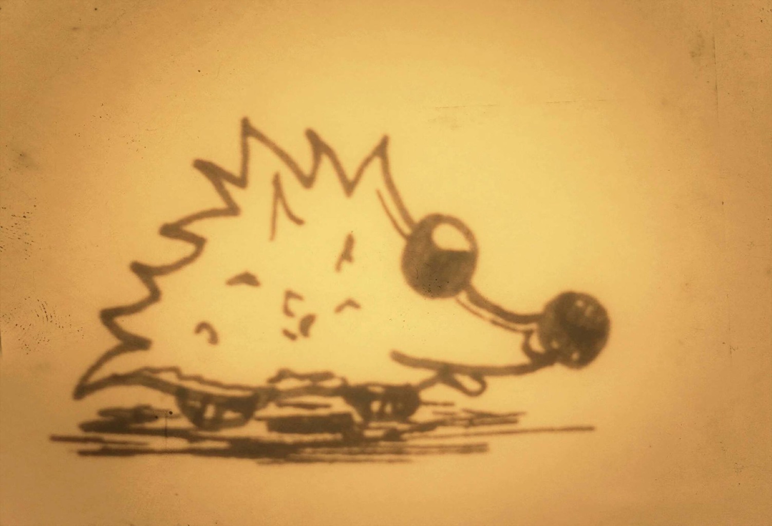 hedgehog